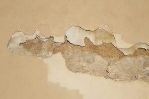 Moisture Damage
